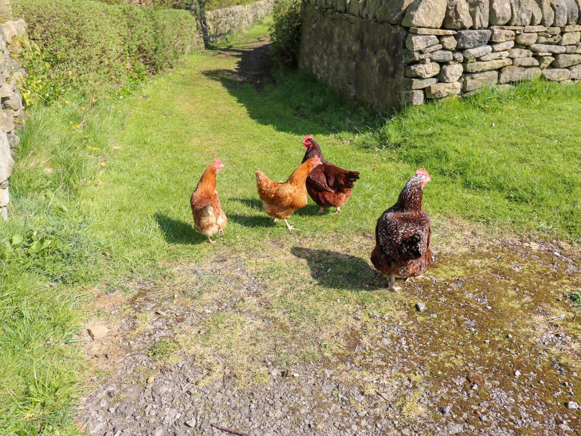 The Barn At Heath Hall Farm Sowerby Bridge Esterno foto
